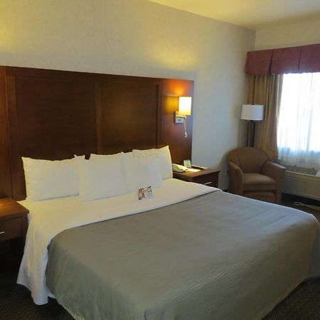 Comfort Inn San Jose International Airport Номер фото